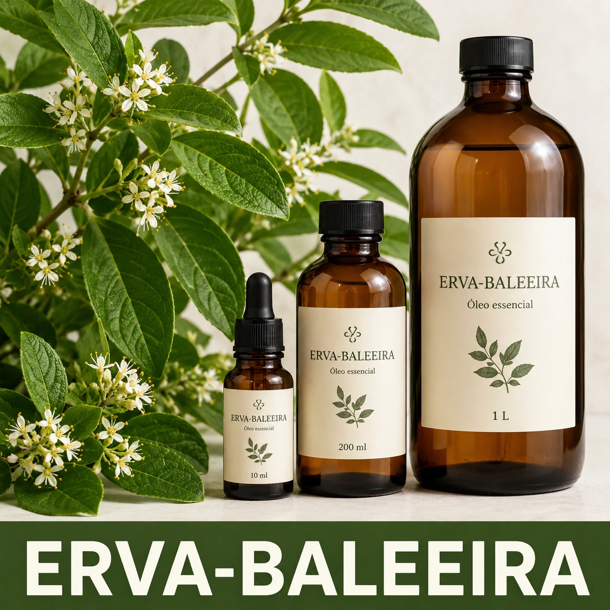 Óleo essencial de Erva baleeira